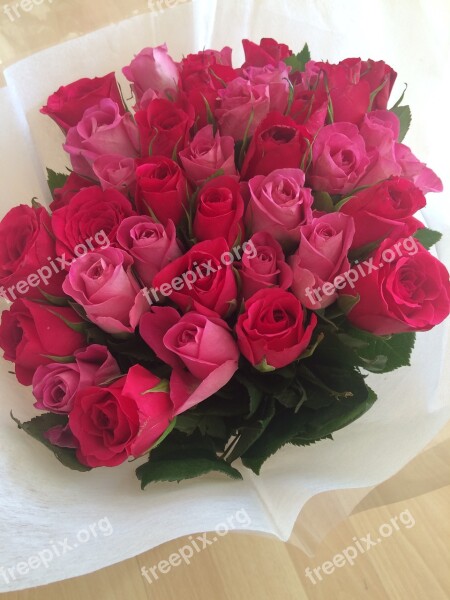 Rose Bouquet Flowers Pink Happy