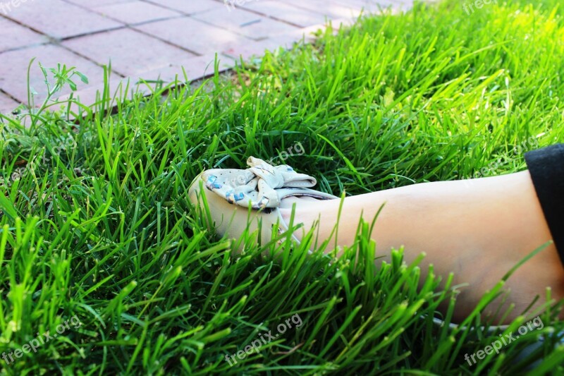 Shoe Grass Green Footwear Lifestyle