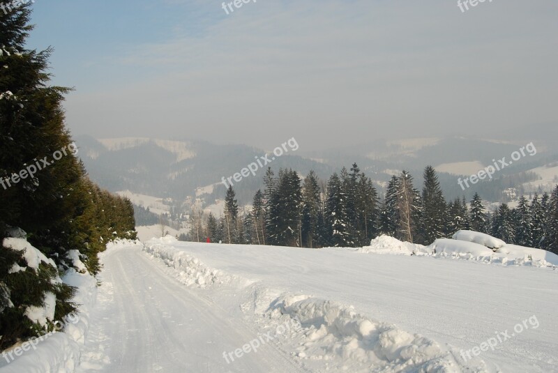 Mountains Winter Snow Tree Coniferous