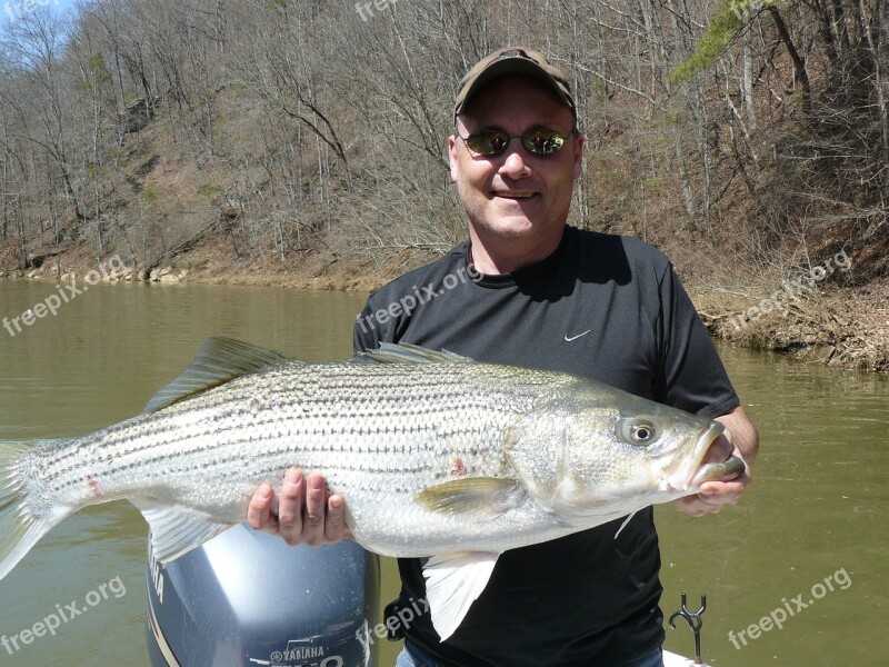 Fishing Fish Catch Water Nature