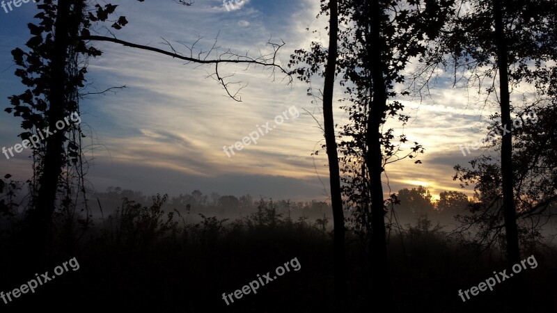 Sunrise Trees Bare Nature Landscape