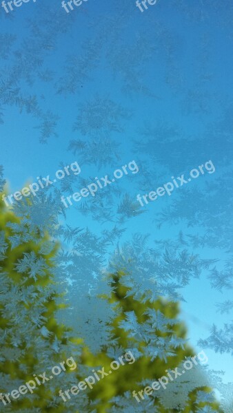 Frost Window Car Trees Icy