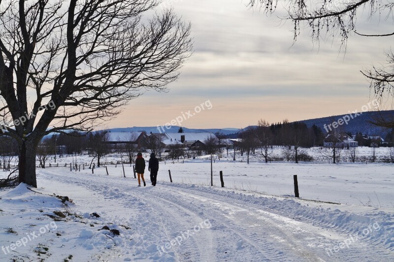 Winter Snow Path Road Snowy