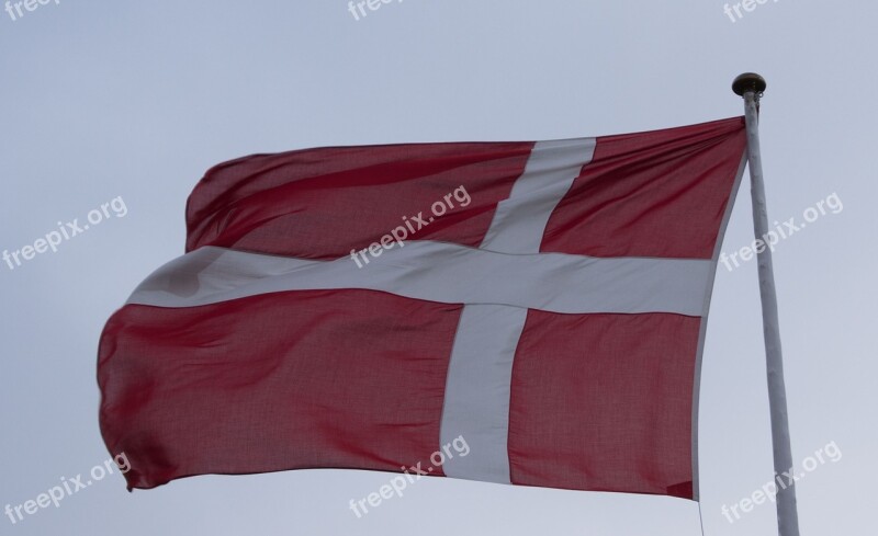 Dannebrog Flag Denmark Danish Danish Flag