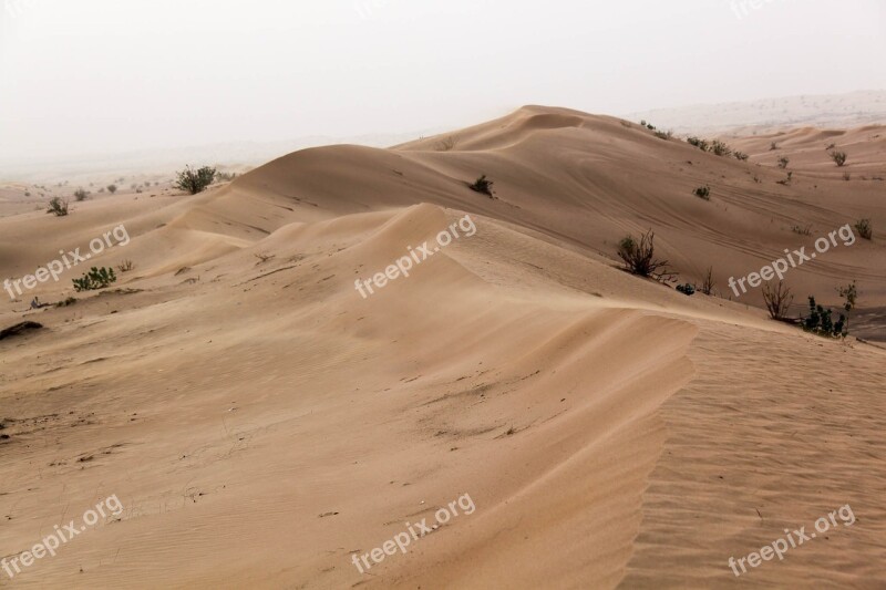 Desert Sand Thin Dubai Sand Dunes