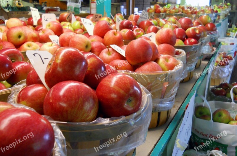 Apples Sunset Orchard Rhode Island Nature Agriculture