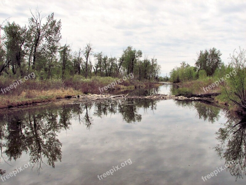 Beaver Dam Alberta Canada River System Free Photos