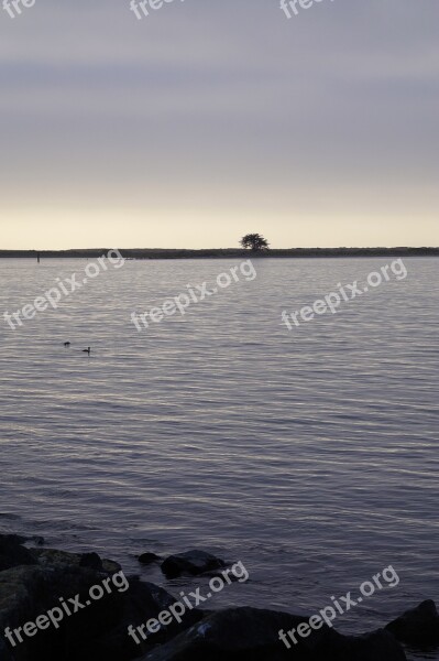 Humboldt Bay Gray Day Lone Tree Free Photos