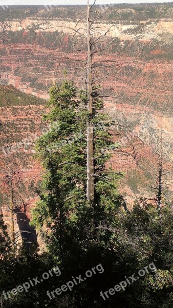 Grand Canyon Lone Tree Park Landscape Free Photos