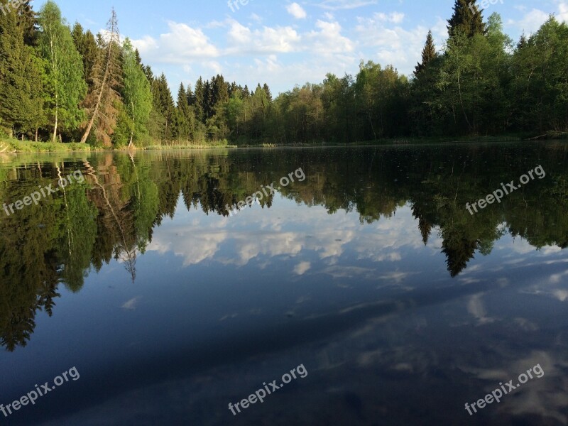 Forest Pond Summer Water View Of The Lake