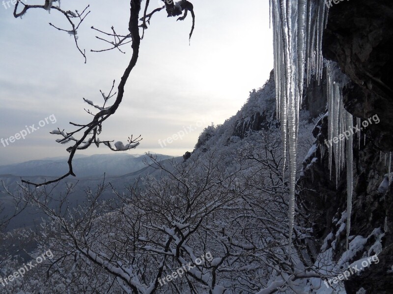 Winter Icicle Earl Name Winter Mountain Snow