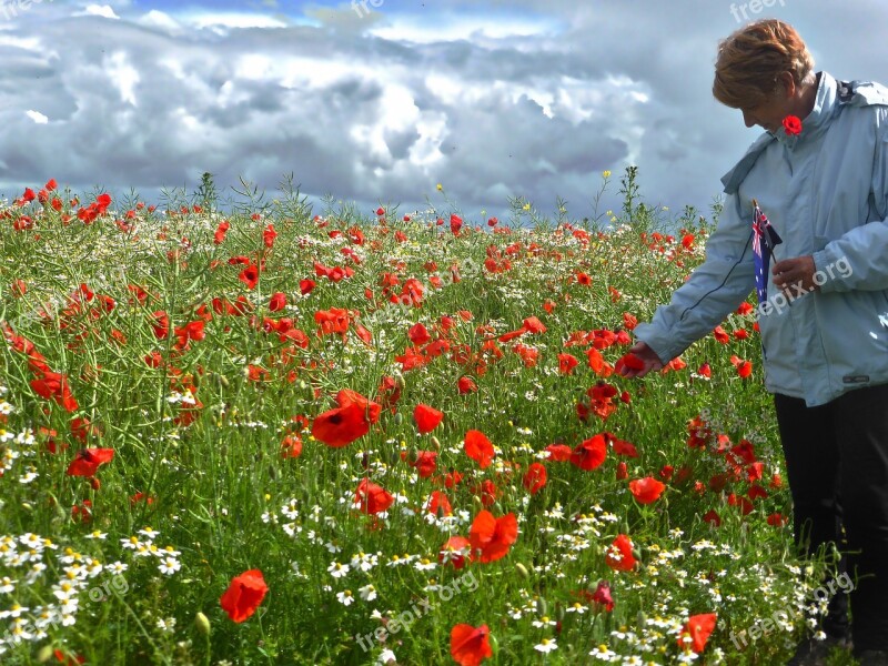 Poppies Field Woman Red Meadow