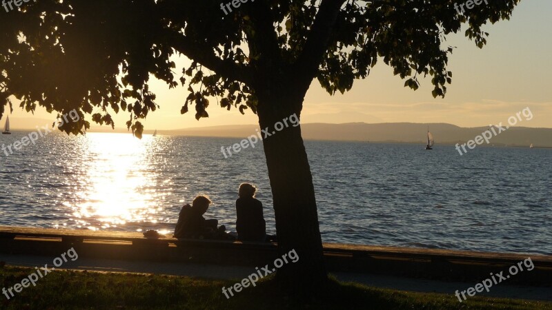 Sunset Pair Love Abendstimmung Lovers