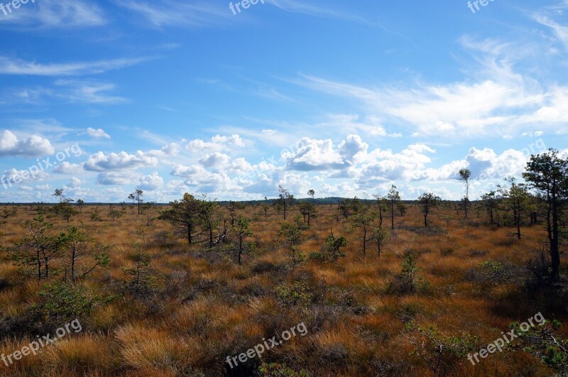 Sweden Nature Landscape Loneliness Silent