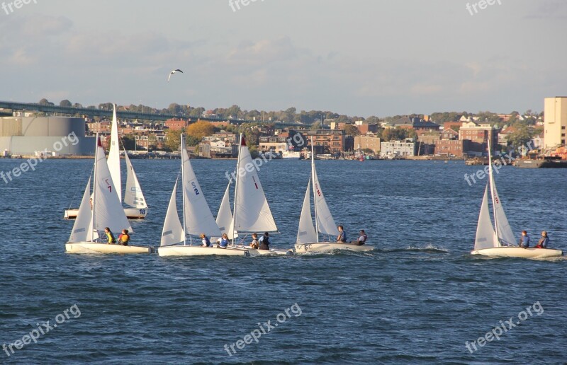 Sailing Boats Bay Sail Sailboat