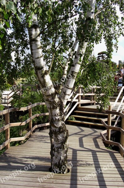 Birch Bridge Park Landscape Bridge Railing