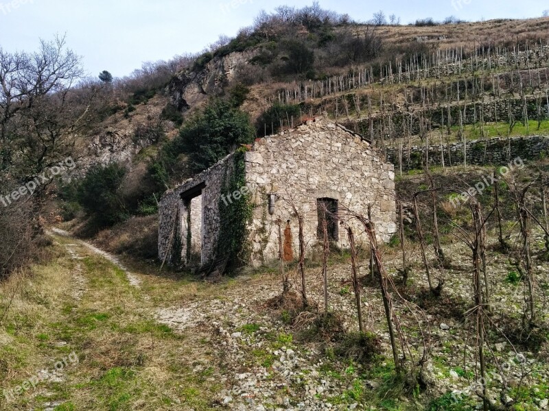 Landscape Nature Abandoned House Vines Free Photos