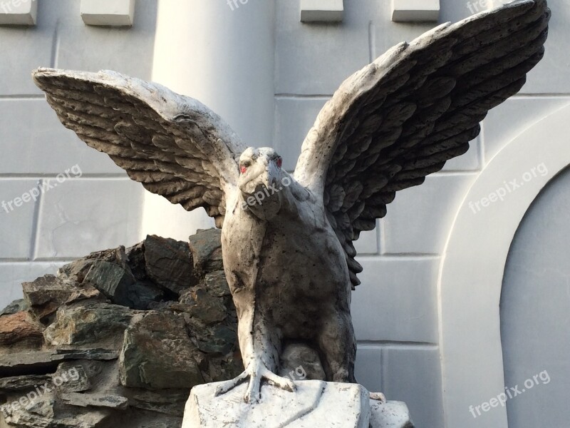 Bird Enea Stone Flower Eagle Golden Eagle