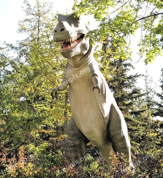 Dinosaur Canada Zoo Dinosaur Park Alberta Free Photos