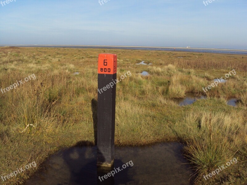 Beach Sea Marram Grass Beautiful Beach Sandy Beach