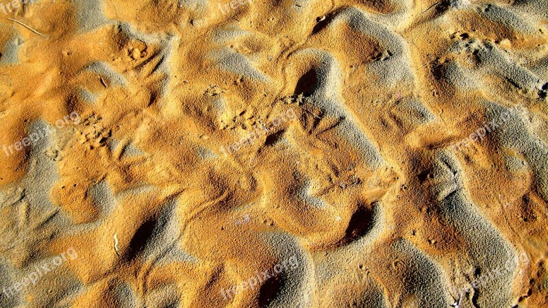 Drava Shelf Animal Footprints Waving Red Sand Free Photos