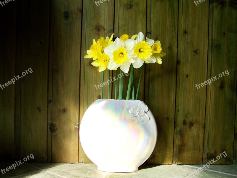 Daffodil Bouquet Yellow Flower Still Life Free Photos