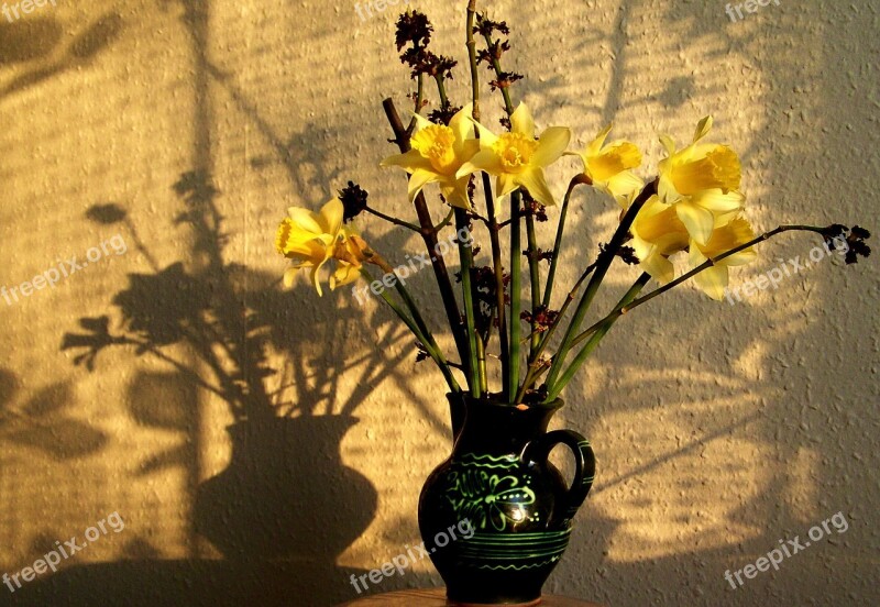 Still Life Light Shadow Daffodil Bouquet Free Photos