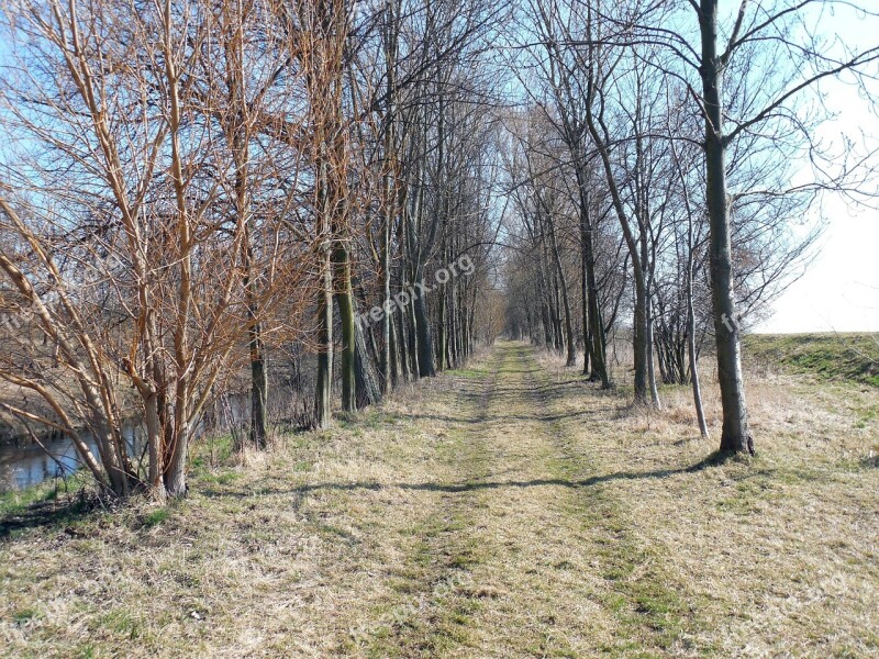 Away Hiking Path Trail Nature