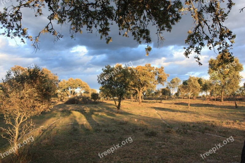 Finca Extremadura Spring Encinar Free Photos