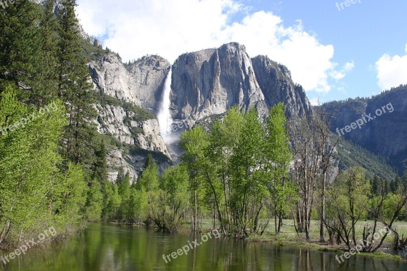 Yosemite Forest Nature Trees Tree