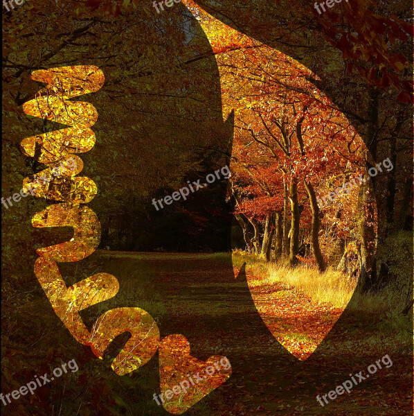 Autumn Fall Leaves Autumn Forest Leaf Outline Scripture Contour