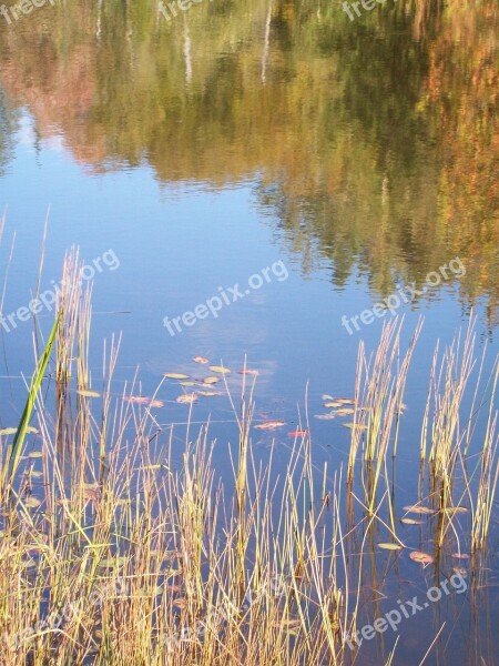 Lake Reflection Autumn Water Nature