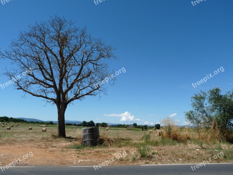 Summer Tuscany Landscape Free Photos