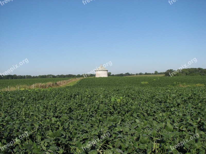 Soybean Field Silo Farm Rural