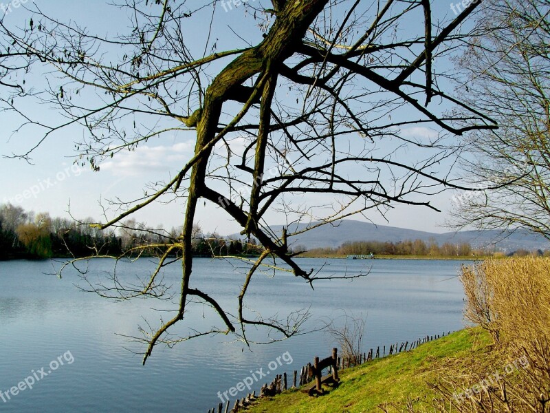 Lake Bough Nature Free Photos