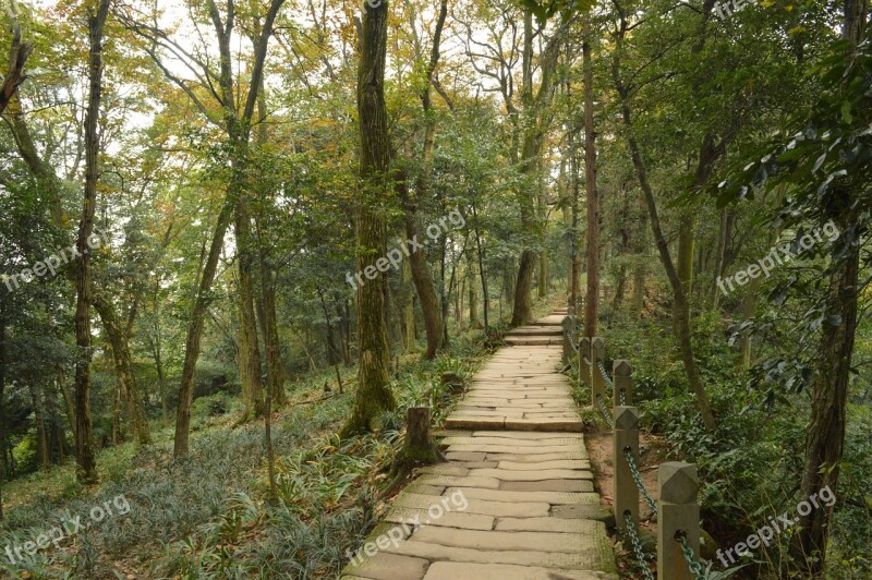 Qingcheng Mountain Lane The Silence Free Photos