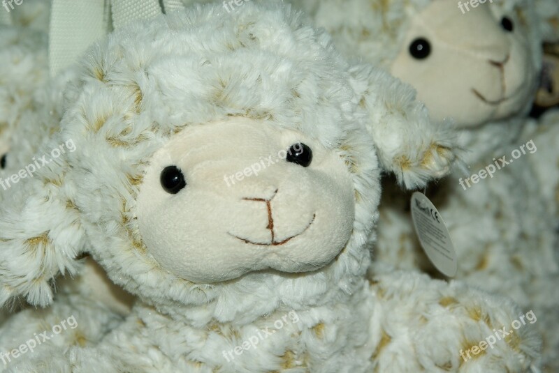 Sheep Plush Toys Children Free Photos