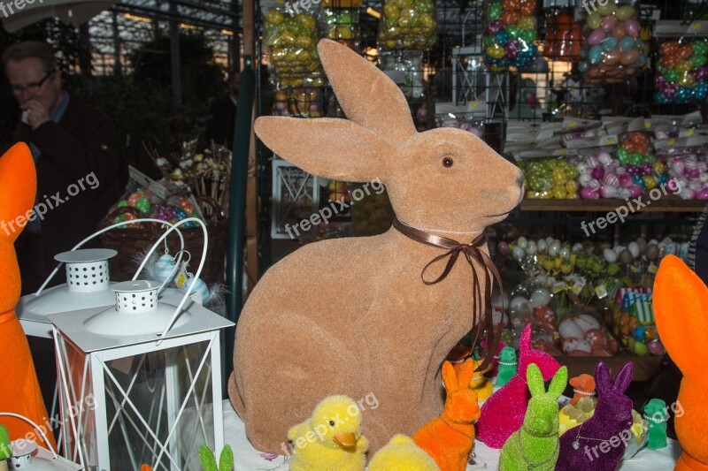 Easter Easter Bunny Hare Figure Spring