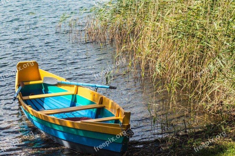 Rowing Boat Boat Water Nature Lake