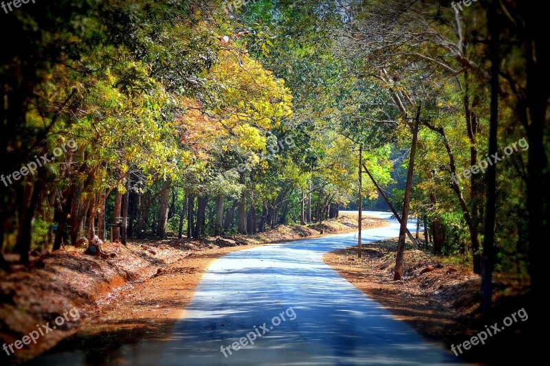 Road Beautiful Nature Landscape Travel