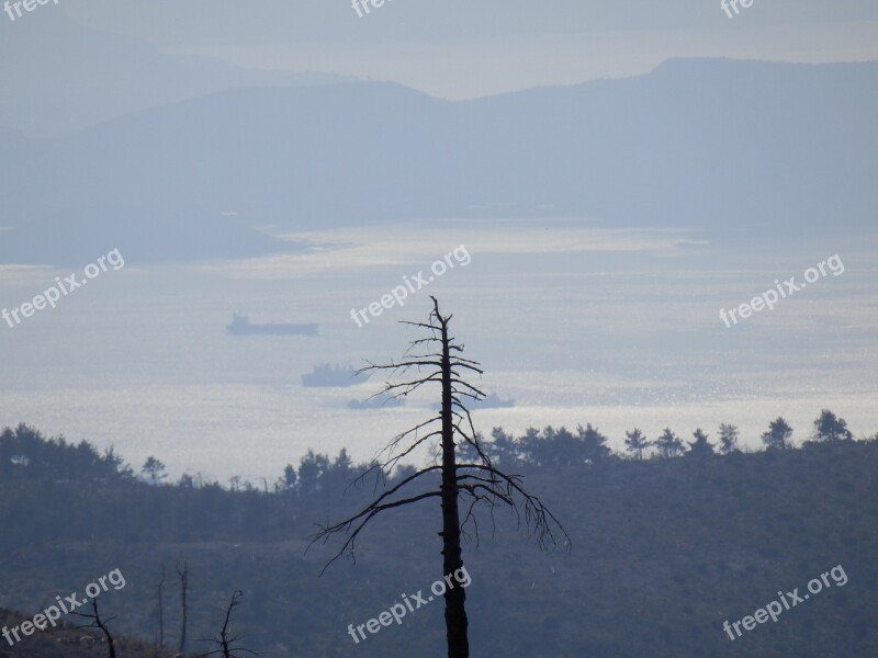 Haze View Tree Burnt Landscape