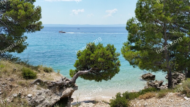 Croatian Beach Beach Makarska Sea Adriatic Tourism