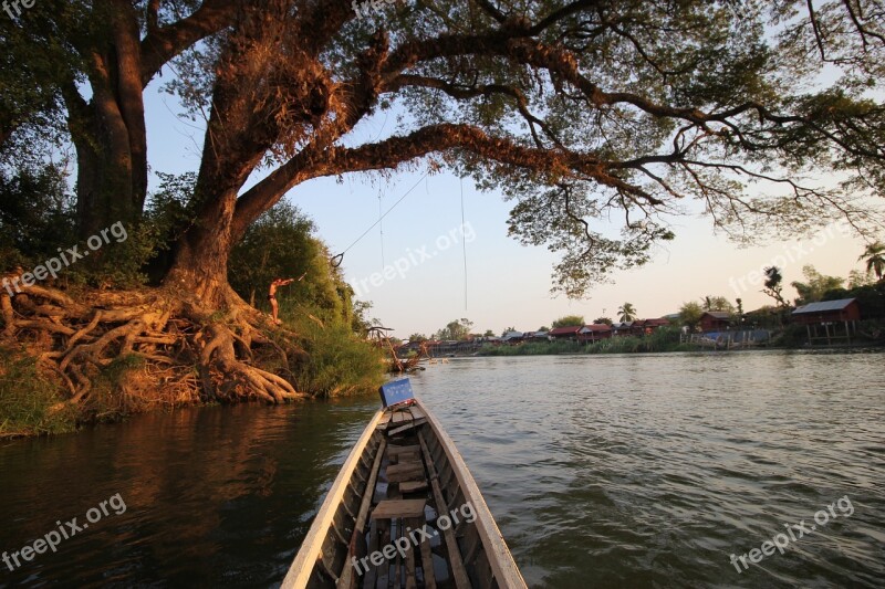 Tree Water Don Det Laos Si Phan Don