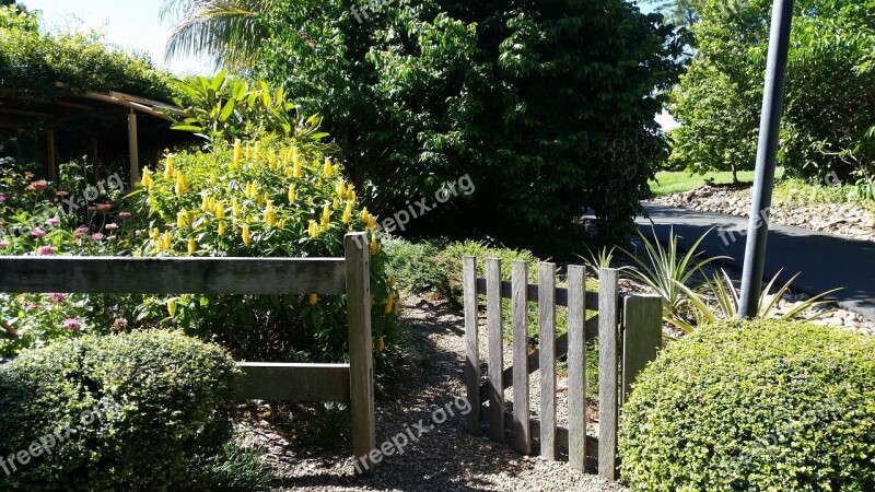 Garden Gate Fence Green Nature