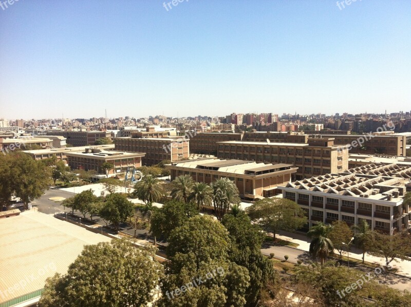 University Egypt College Academic Arab