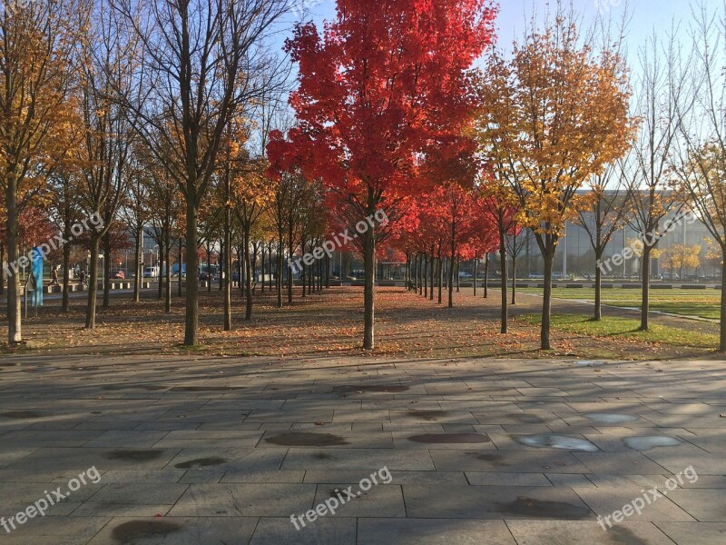 Autumn Berlin Germany Fall Foliage Capital