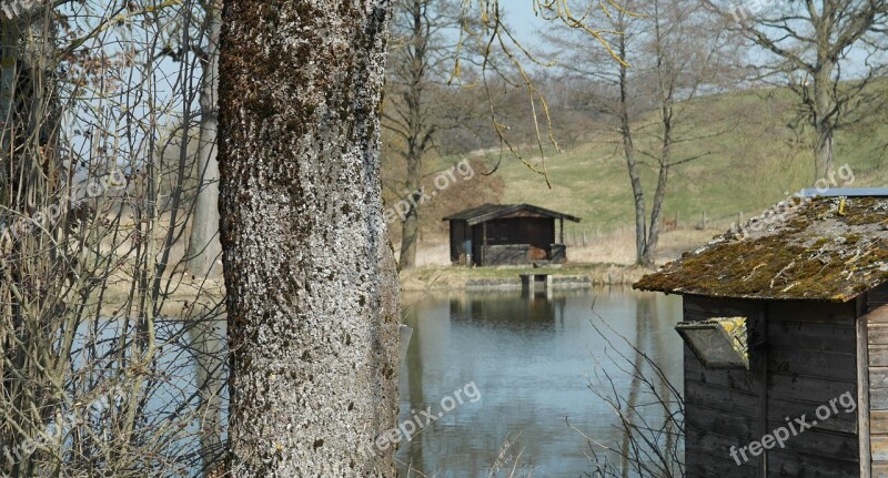 Reed Water Mirroring Lake Bank