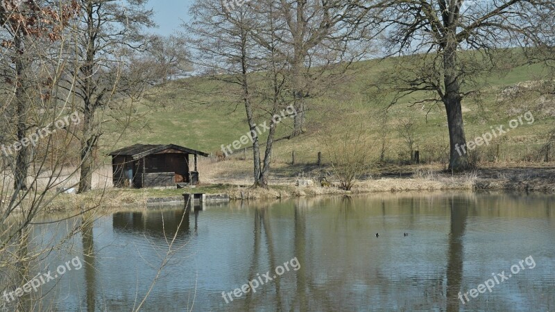 Reed Water Mirroring Lake Bank