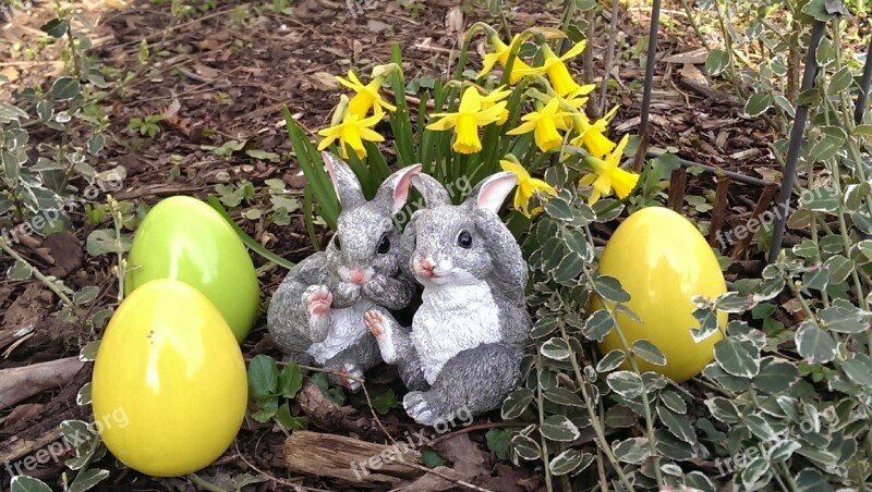 Easter Rabbit Egg Flowers Easter Bunny