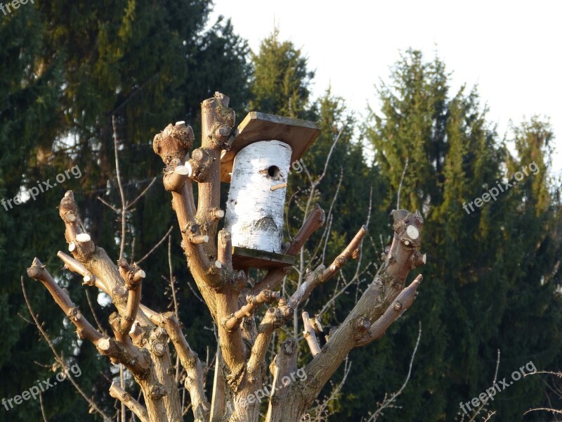 Tree Nest Aviary Nesting Box Nature